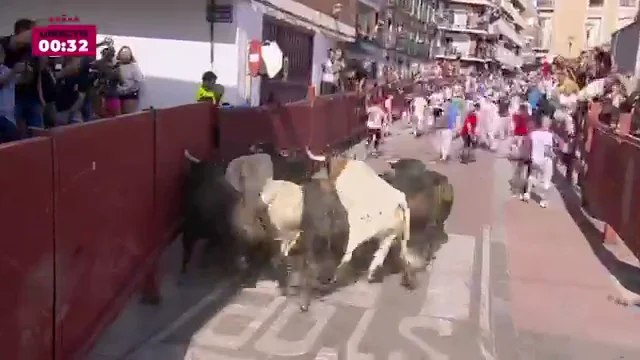 Encierro San Sebastián de los Reyes