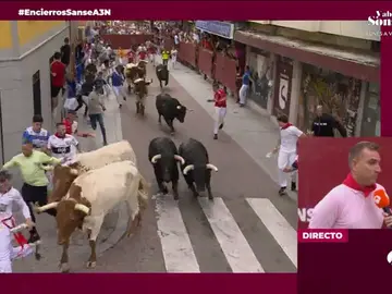 Carlos Bolarín: "Estamos muy orgullosos de cómo se están desarrollando estas fiestas" Carlos Bolarín: "Estamos muy orgullosos de cómo se están desarrollando estas fiestas"