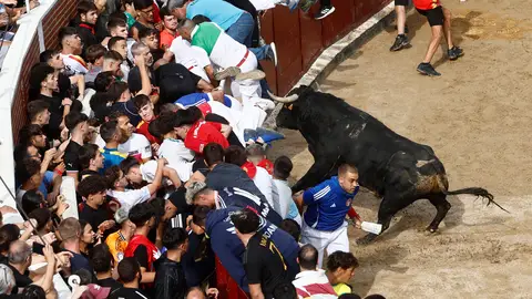 Momento del toro yendo a la barrera en el sexto encierro Momento del toro yendo a la barrera en el sexto encierro