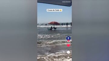 Señor en el agua TOPVIRAL