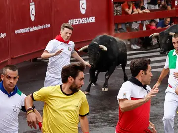 Sexto encierro de San Sebastián de los Reyes 2024 Sexto encierro de San Sebastián de los Reyes 2024