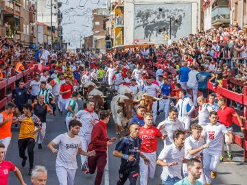 Un momento del séptimo encierro matutino de San Sebastián de los Reyes celebrado este domingo.