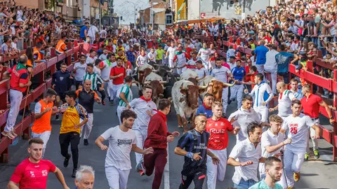 Un momento del séptimo encierro matutino de San Sebastián de los Reyes celebrado este domingo. Un momento del séptimo encierro matutino de San Sebastián de los Reyes celebrado este domingo.