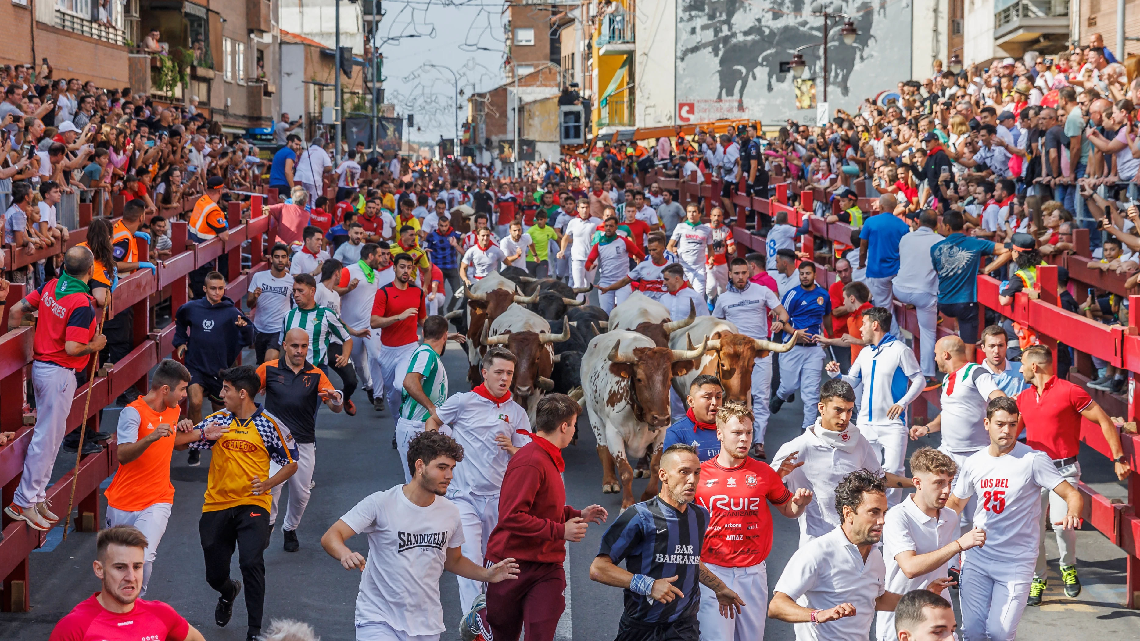 Un momento del séptimo encierro matutino de San Sebastián de los Reyes celebrado este domingo. Un momento del séptimo encierro matutino de San Sebastián de los Reyes celebrado este domingo.