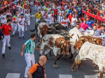 Imagen del encierro