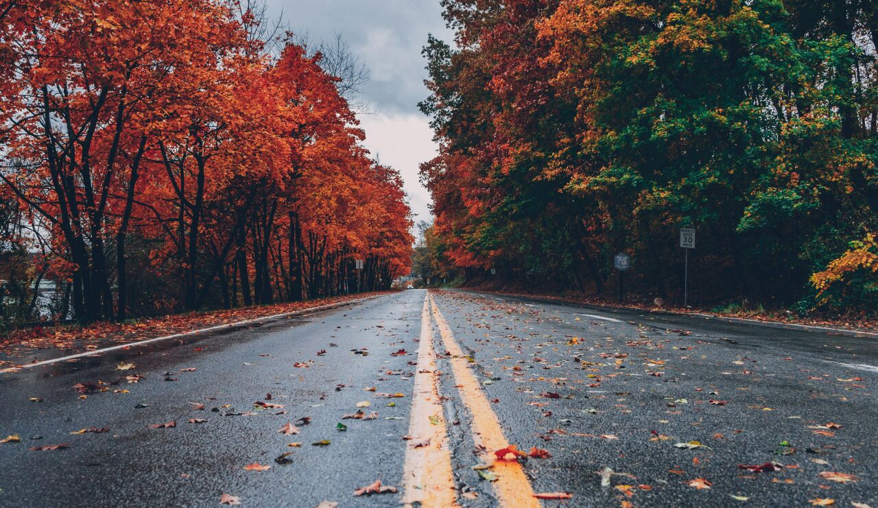 Paisaje de oto&ntilde;o