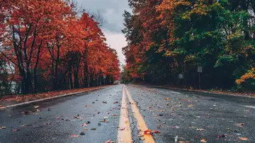 Paisaje de otoño Paisaje de otoño