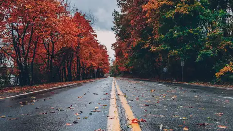 Paisaje de otoño Paisaje de otoño