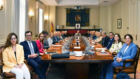 Reunión del Pleno del Consejo General del Poder Judicial (CGPJ) Reunión del Pleno del Consejo General del Poder Judicial (CGPJ)