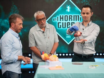 &iexcl;El futuro de la medicina! El Hormiguero muestra un material que puede acabar con los puntos de sutura