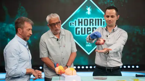 ¡El futuro de la medicina! El Hormiguero muestra un material que puede acabar con los puntos de sutura ¡El futuro de la medicina! El Hormiguero muestra un material que puede acabar con los puntos de sutura