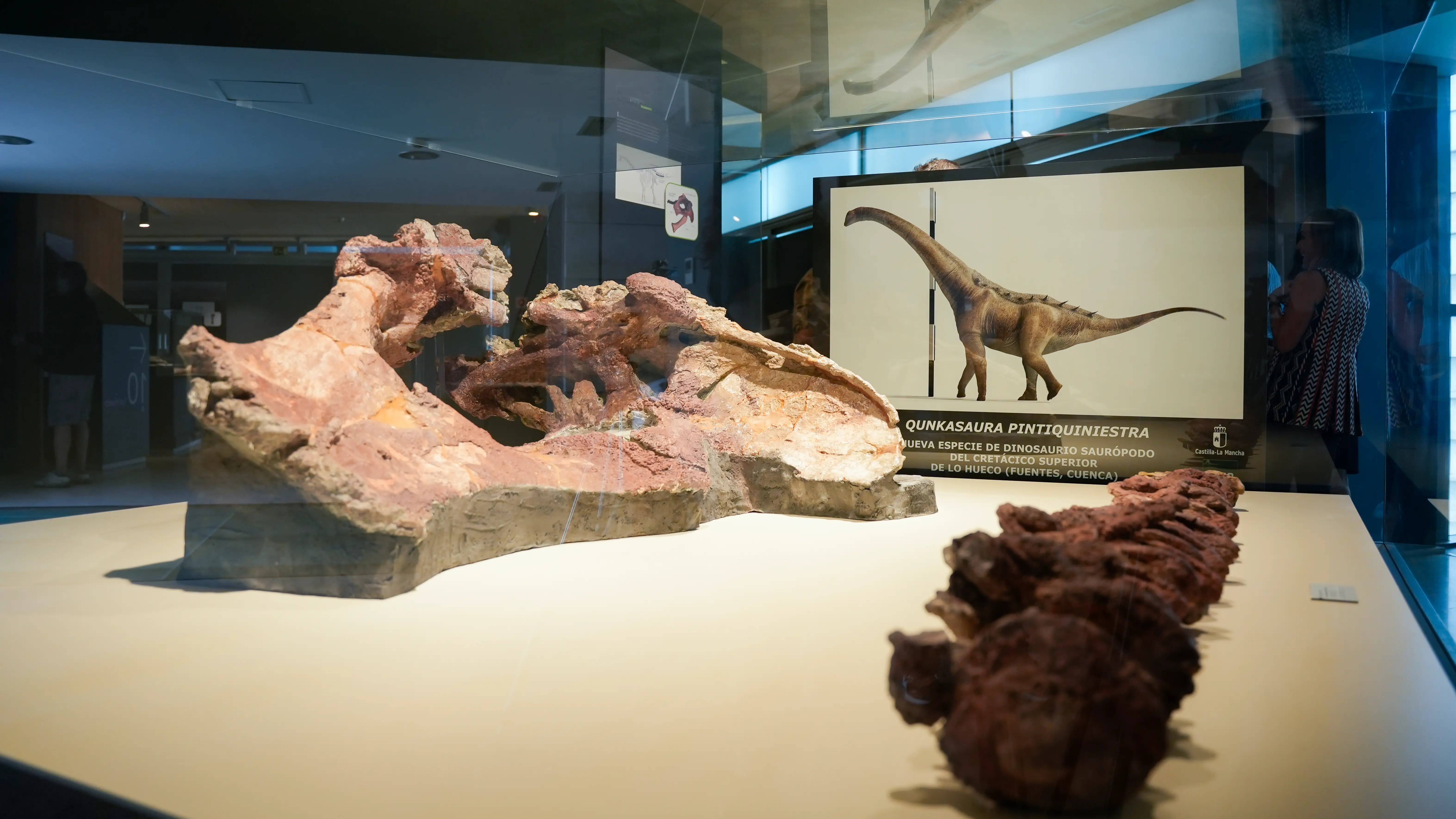 Huesos del Qunkasaura pintiquiniestra durante la publicación del descubrimiento de una nueva especie de dinosaurio saurópodo Huesos del Qunkasaura pintiquiniestra durante la publicación del descubrimiento de una nueva especie de dinosaurio saurópodo