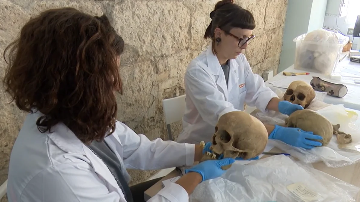 Hallazgo en Canarias de hace 1.700 a&ntilde;os