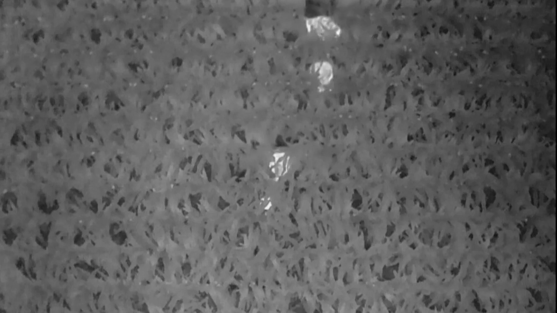 Drones con tecnología térmica cruciales para el rescate de un niño Drones con tecnología térmica cruciales para el rescate de un niño