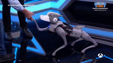 ¿El perro más inteligente del mundo? Marron sorprende a Victoria de Marichalar con una revolución para la robótica
