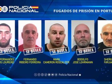 Los cinco presos fugados