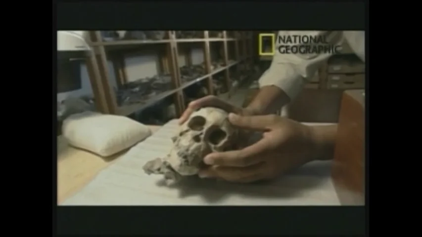 Fósil niña de 3,3 millones de años en Eitopia Efemérides de hoy 20 de septiembre de 2024: Fósil niña de 3,3 millones de años en Eitopia