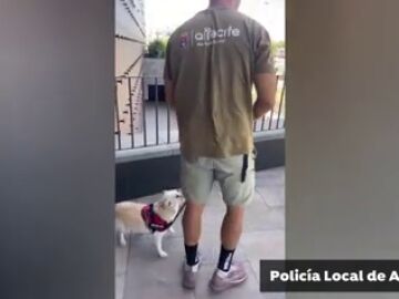 Así encontró la Policía de Arrecife al perro