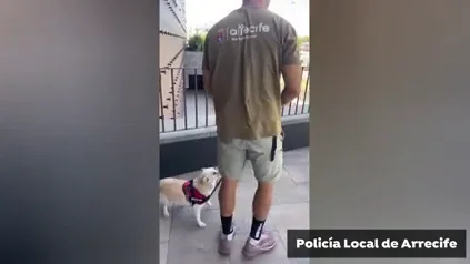 Así encontró la Policía de Arrecife al perro Así encontró la Policía de Arrecife al perro