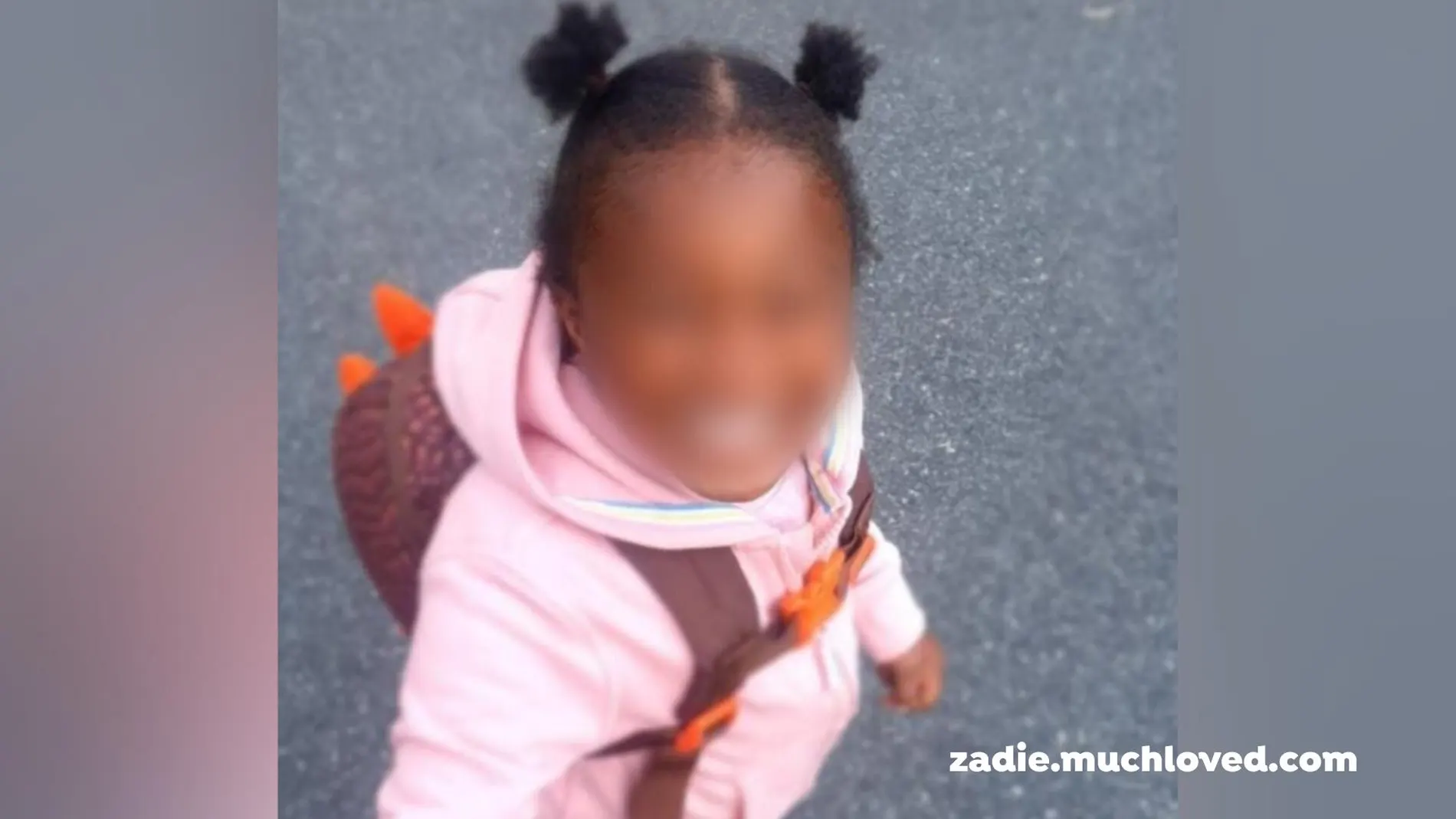 Niña de 3 años muere por un diagnóstico fallido de sepsis Niña de 3 años muere por un diagnóstico fallido de sepsis