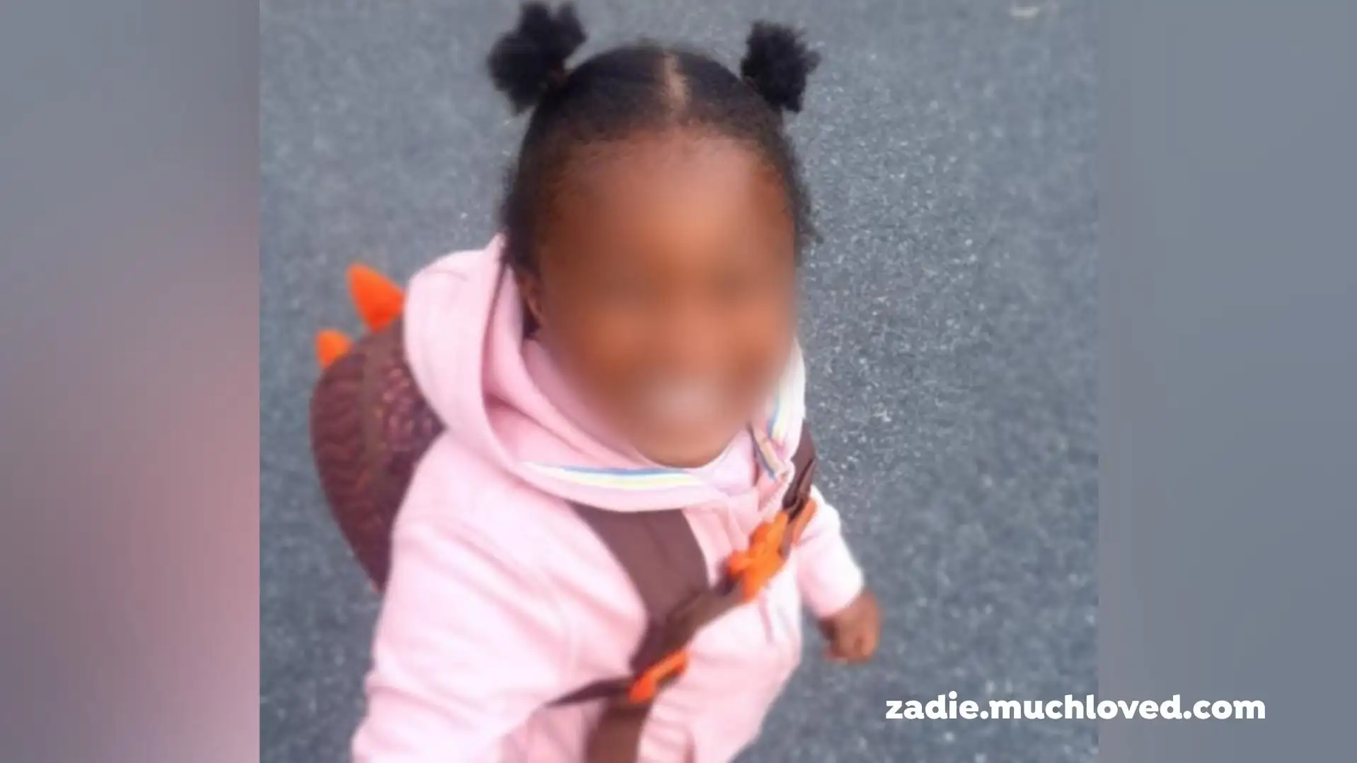 Niña de 3 años muere por un diagnóstico fallido de sepsis Niña de 3 años muere por un diagnóstico fallido de sepsis