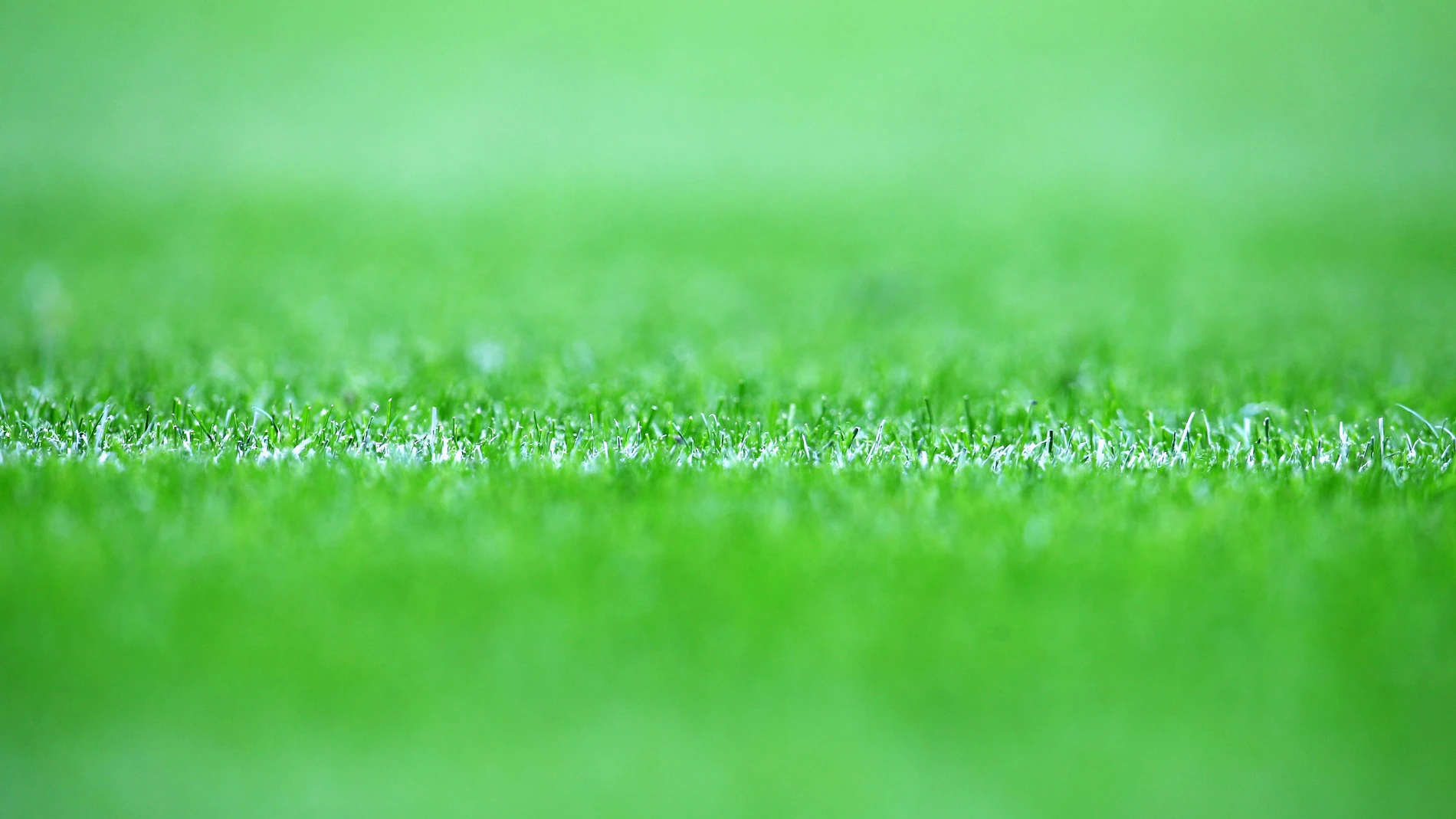 Imagen de un campo de fútbol Imagen de un campo de fútbol