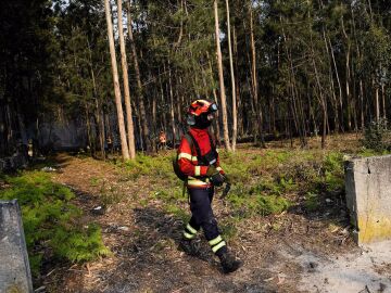 La UE moviliza ocho aviones contra los incendios en el norte de Portugal