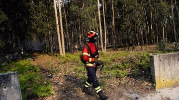 La UE moviliza ocho aviones contra los incendios en el norte de Portugal