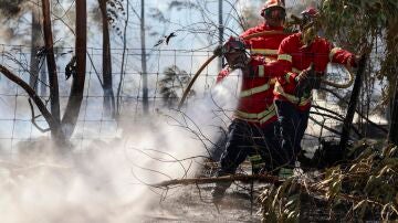 Bomberos de Portugal combatiendo un incendio