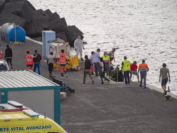 El Gobierno pide al Consejo de Estado un dictamen sobre el procolo de menores migrantes aprobado por Canarias El Gobierno pide al Consejo de Estado un dictamen sobre el procolo de menores migrantes aprobado por Canarias