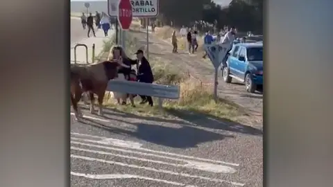 Toro familia Arrabal de Portillo Antena3 Noticias