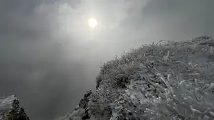 Frio amanecer Frio amanecer