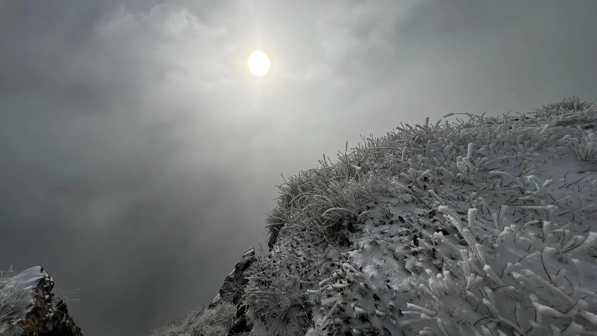 Frio amanecer Frio amanecer