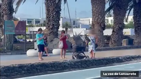 El vídeo de la mujer paseando por la calle con dos búhos El vídeo de la mujer paseando por la calle con dos búhos