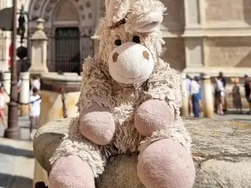 Hilde, un burrito de peluche perdido en Sevilla Hilde, un burrito de peluche perdido en Sevilla