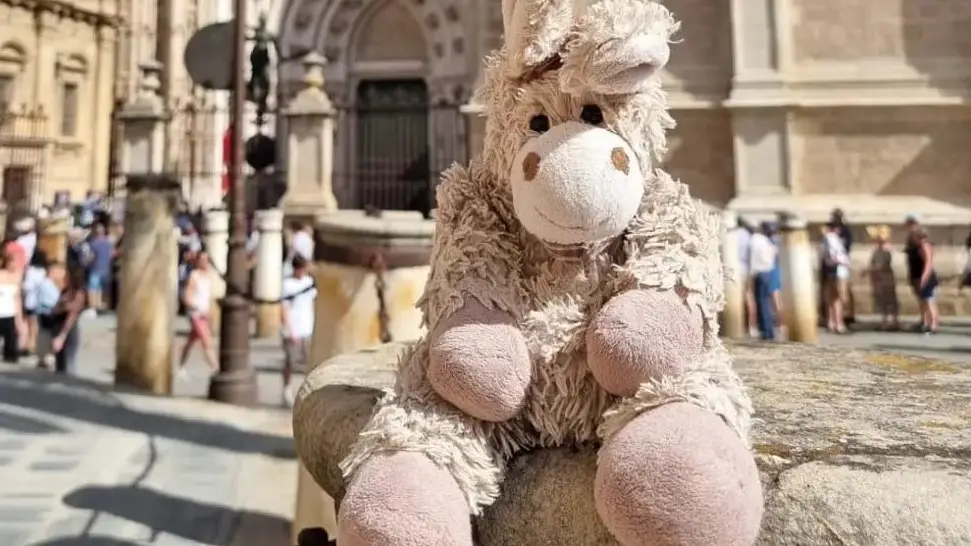 Hilde, un burrito de peluche perdido en Sevilla