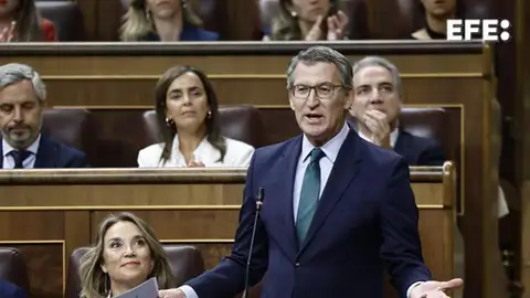 El presidente del PP, Alberto Núñez Feijóo El presidente del PP, Alberto Núñez Feijóo