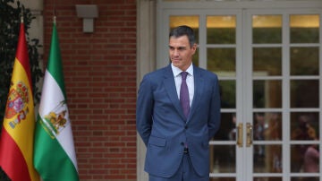 Pedro Sánchez