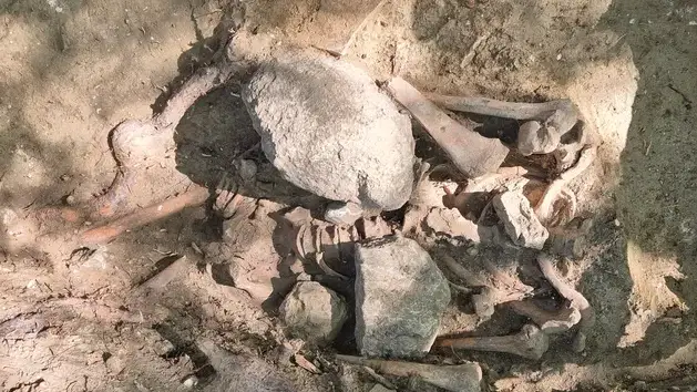 Grandes piedras sobre los restos &oacute;seos de un hombre