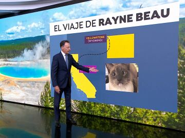 El viaje de Rayne Beau