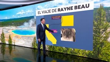 El viaje de Rayne Beau