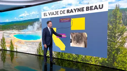 El viaje de Rayne Beau El viaje de Rayne Beau
