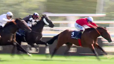 Carrera de Jocketas en el Hipódromo de la Zarzuela, Madrid Carrera de Jocketas en el Hipódromo de la Zarzuela, Madrid