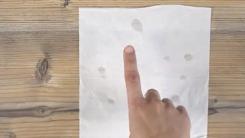 Los resultados del truco del pañuelo de papel Los resultados del truco del pañuelo de papel