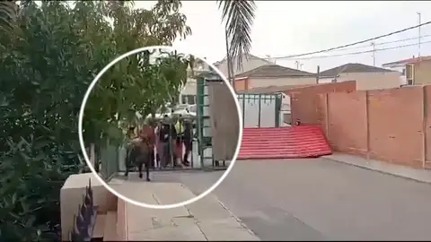 Toro Pantoja Antena3 Noticias