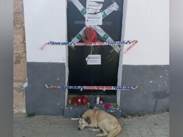 perro en una puerta