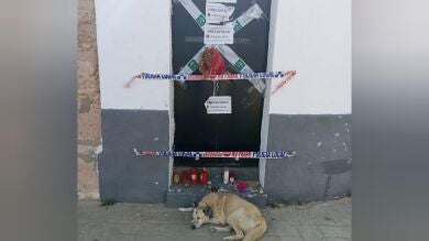 Un perro callejero duerme cada día en la puerta donde vivía el hombre con el que paseaba
