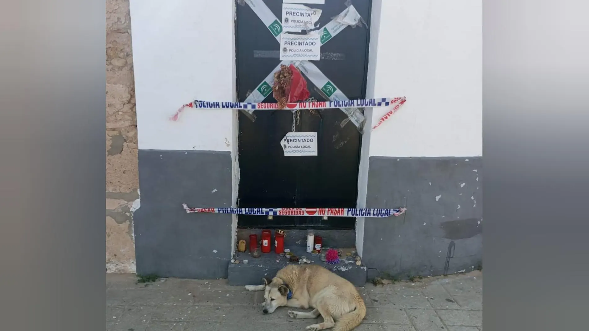 perro en una puerta perro en una puerta