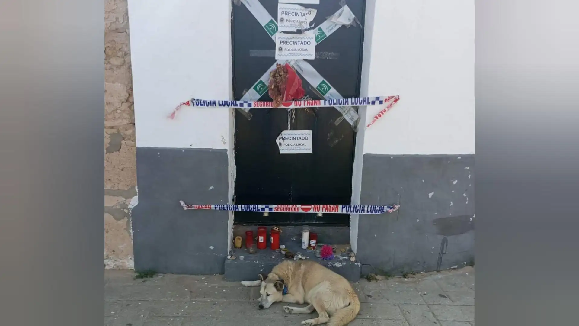 perro en una puerta perro en una puerta