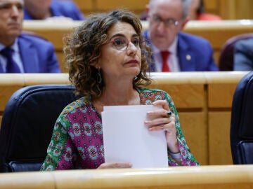 María Jesús Montero en el Congreso